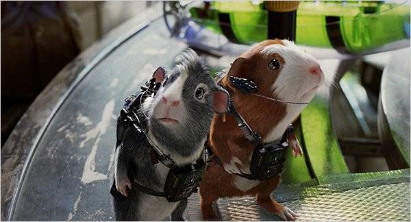 Biệt Đội Chuột Lang Biệt Đội Chuột Lang