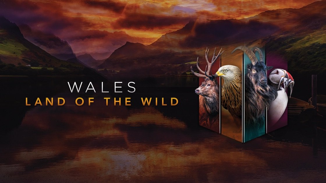 Thiên Nhiên Hoang Dã Xứ Wales Thiên Nhiên Hoang Dã Xứ Wales