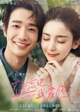Đừng Quên Anh Yêu Em