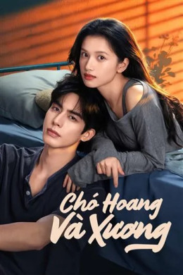 Chó Hoang Và Xương